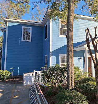 Denis Painting LLC