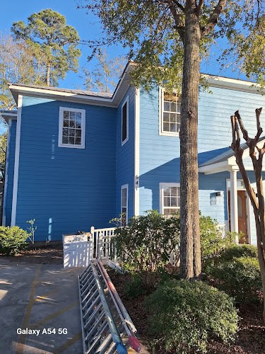 Denis Painting LLC