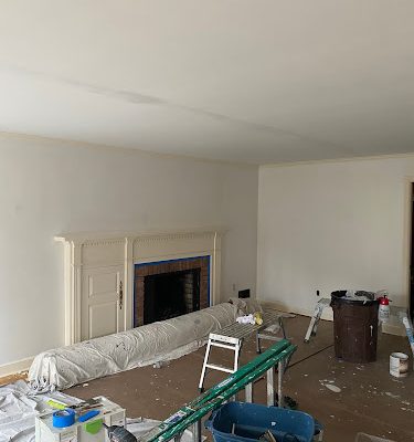 ALEX PAINTING & PLASTER LLC
