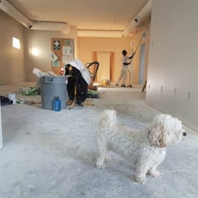 Alpha Commercial Construction
