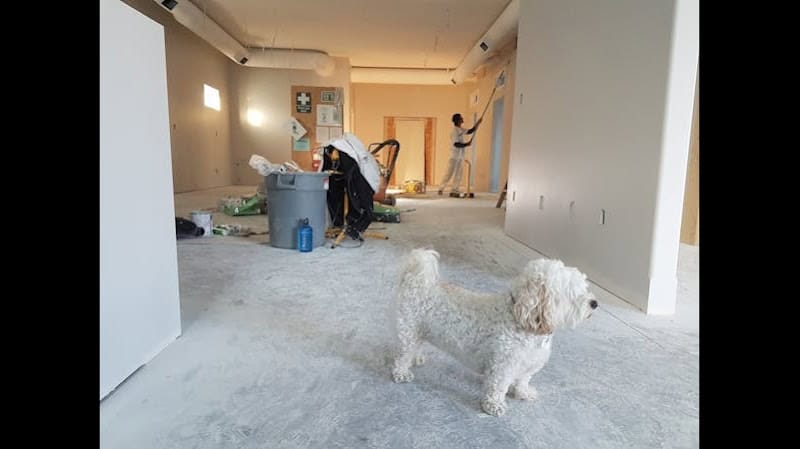 Alpha Commercial Construction