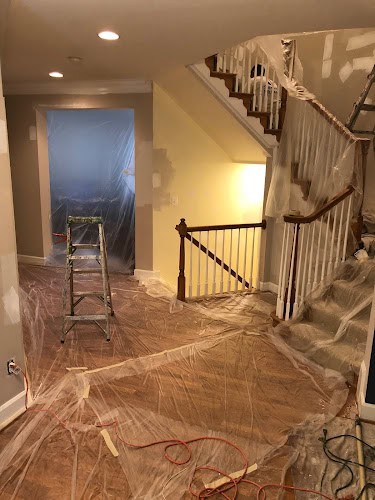 DMV Professional Painters LLC