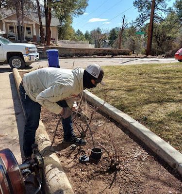 Franklin Plumbing Services