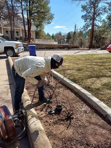 Franklin Plumbing Services