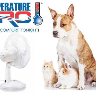 TemperaturePro