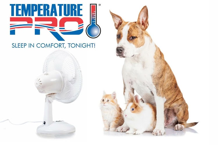 TemperaturePro