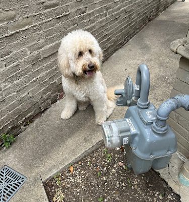 Matrix Plumbing