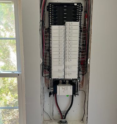 VP Services