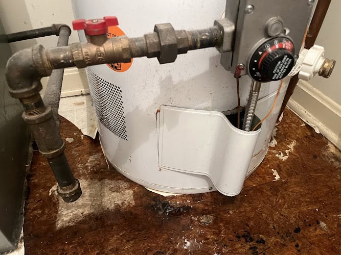 1-Tom-Plumber