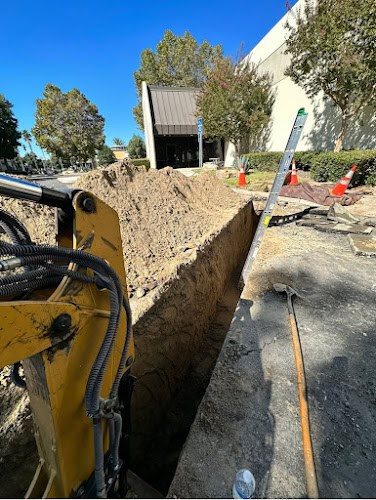 The Sewer Company