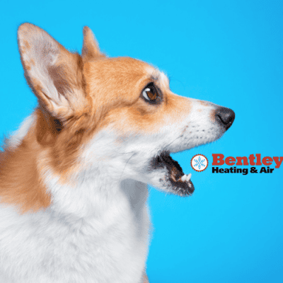 Bentley's Heating & Air