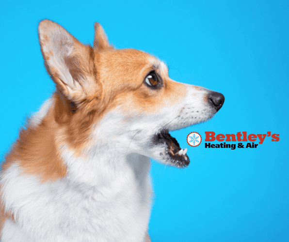 Bentley's Heating & Air