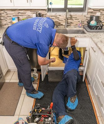Integrity Plumbing and Drain, Inc.