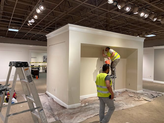 TidyPro Painters