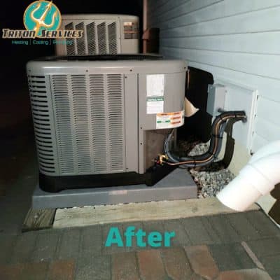 Triton Services