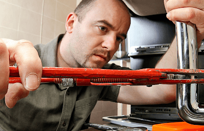 The Plumbing Pro