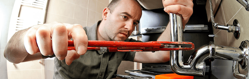 The Plumbing Pro