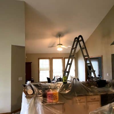 Alex's Pro Painting Service
