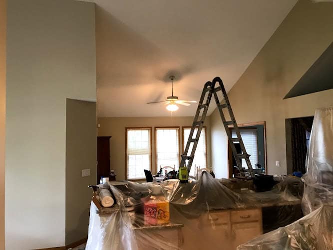 Alex's Pro Painting Service