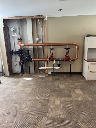 Bison Plumbing