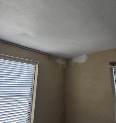 The Spackle Guys LLC