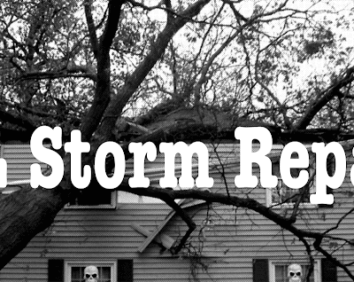 FL Storm Repair - Roofing