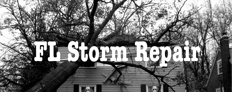 FL Storm Repair - Roofing