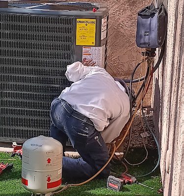 Bumble Bee Home Services