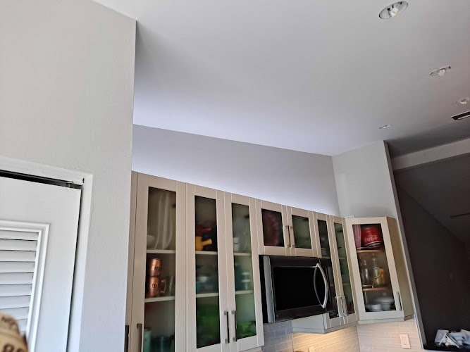 Mastertech painting int
