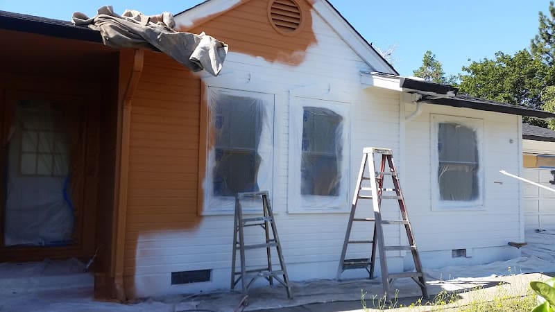 FineLine Painting
