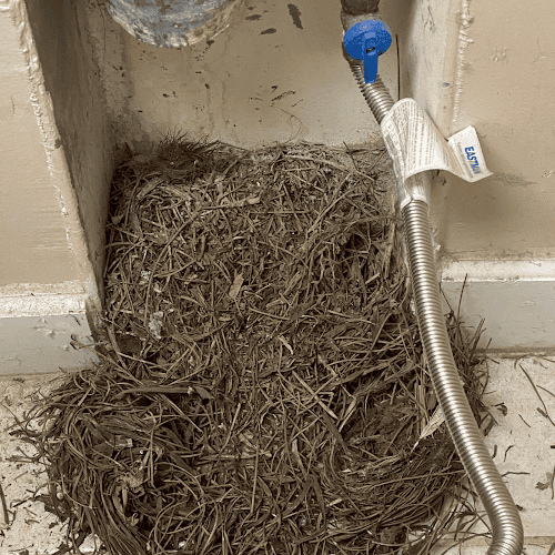 In & Out Dryer Vent Cleaning
