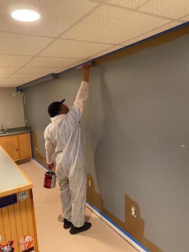 PRO PAINTING SOLUTIONS LLC
