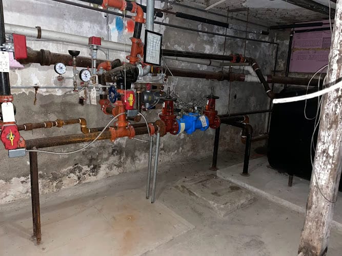Backflow Joe's