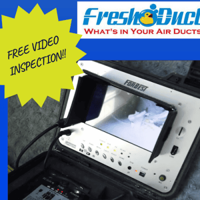 Fresh Ducts