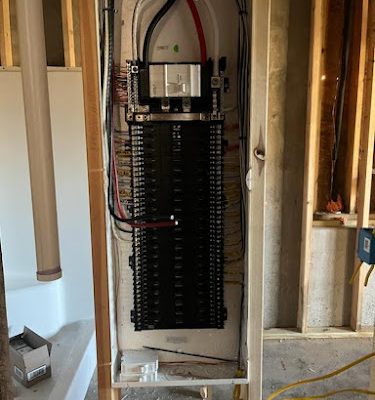 Ibis Electric