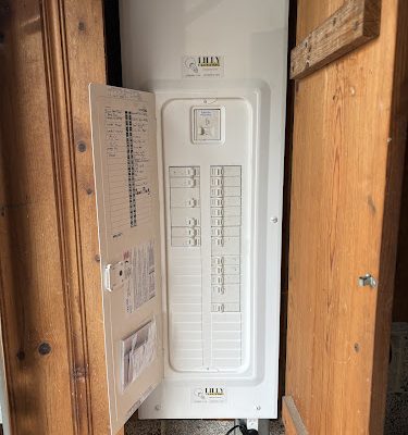 Lilly Electric
