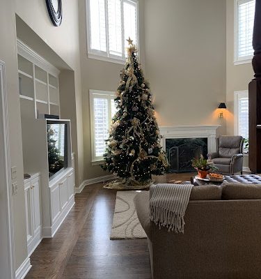 Vazquez Services Painting