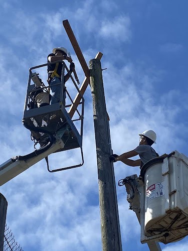 D.B. Lunt Electrical Contractors