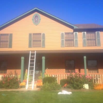 auburn rose drywall finishing