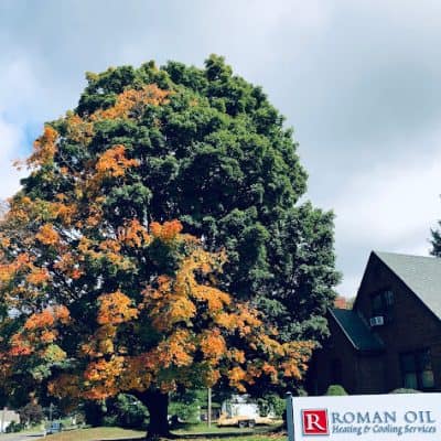 Roman Oil Co