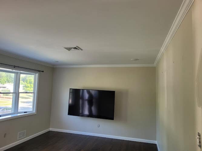 The Cocos Professional Painting