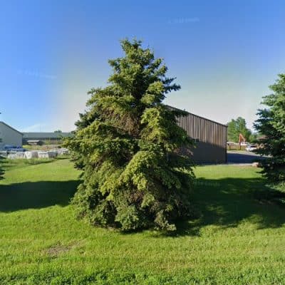 Zisch Drywall & Paint Inc
