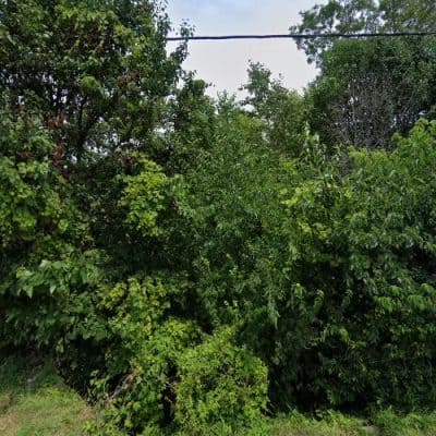 Roberts Maintenance & More