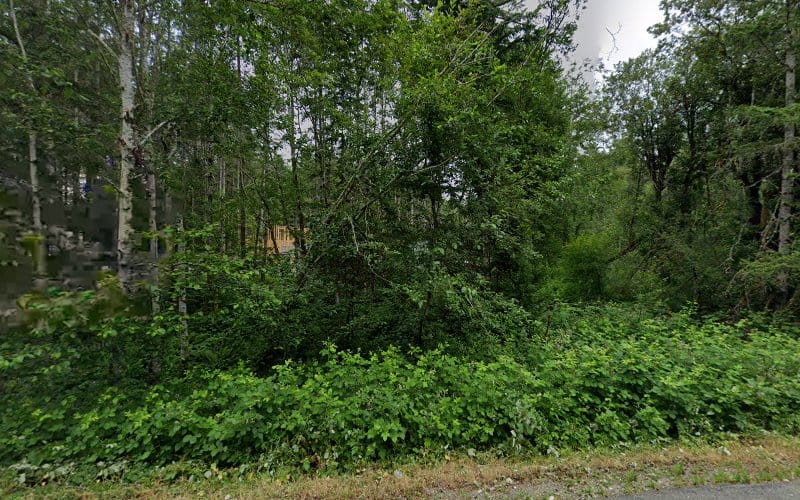 SilverFalls Construction LLC