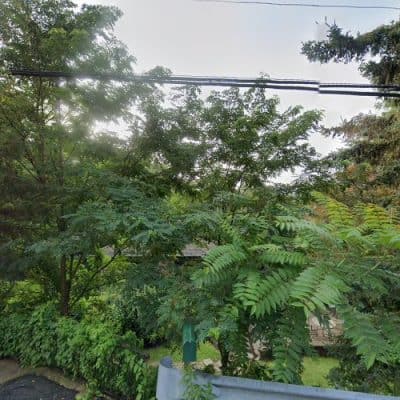Shrub Oak drywalling Contractor