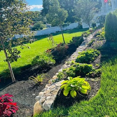 Juarez Landscaping and Tree Services