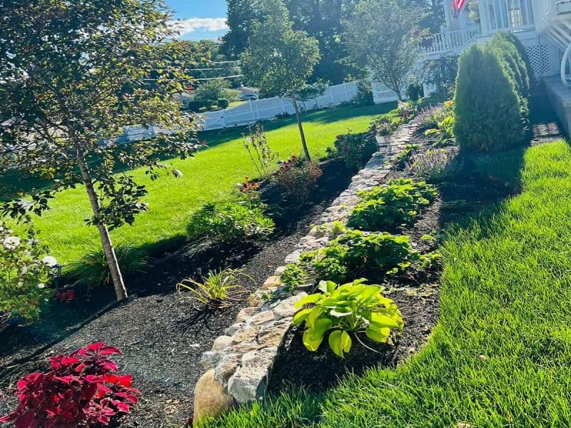Juarez Landscaping and Tree Services