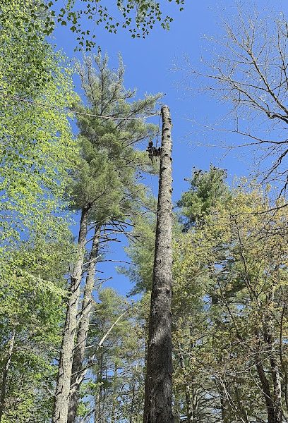 Felix Tree Expert, LLC