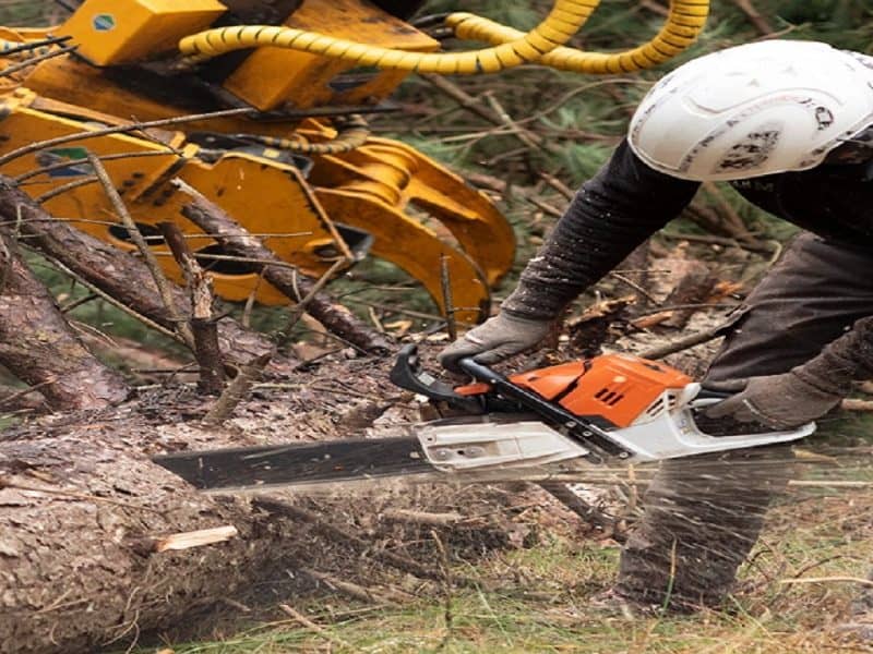 Blue Collar Tree Service