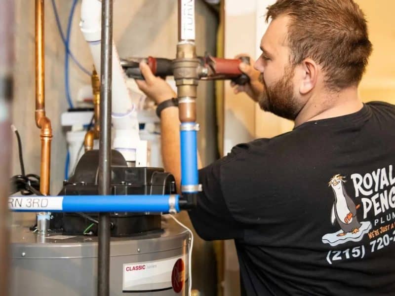 Royal Penguin Plumbing